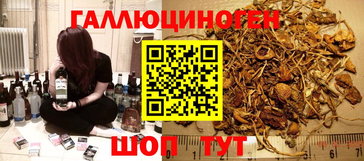 Елабуга  Псилоцибиновые грибы мицелий  Вход с VPN 